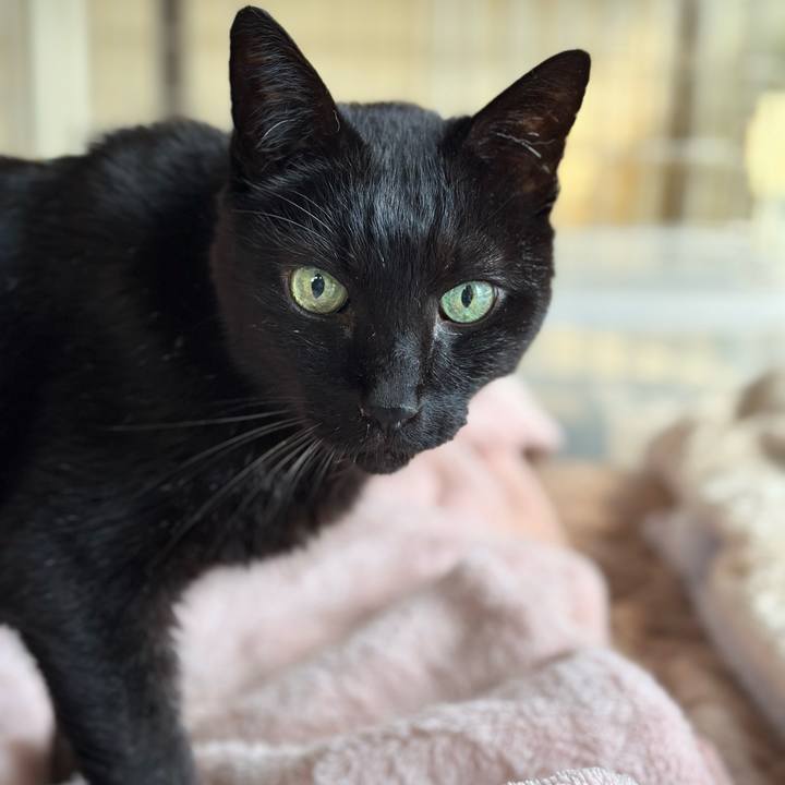 86b9df5e d58c 4bab 8a93 fa2fb0d56da7 1710901882406