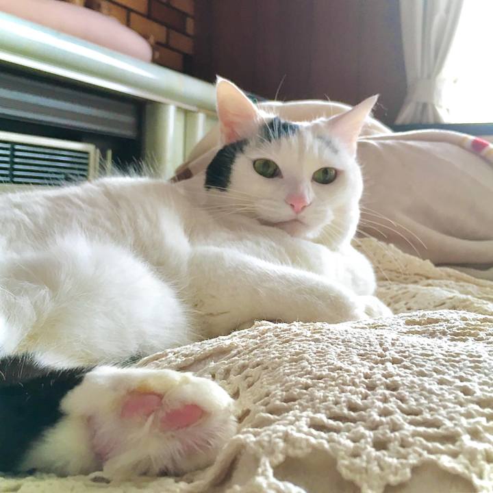 86b9f1bf 0af4 4e89 bd53 db044243b5a8 1608525045064