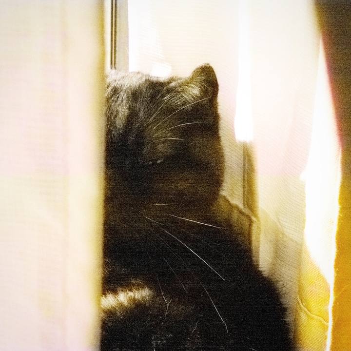 86ba0e5d 27ff 47fe abc8 52215496477e 1540046726541