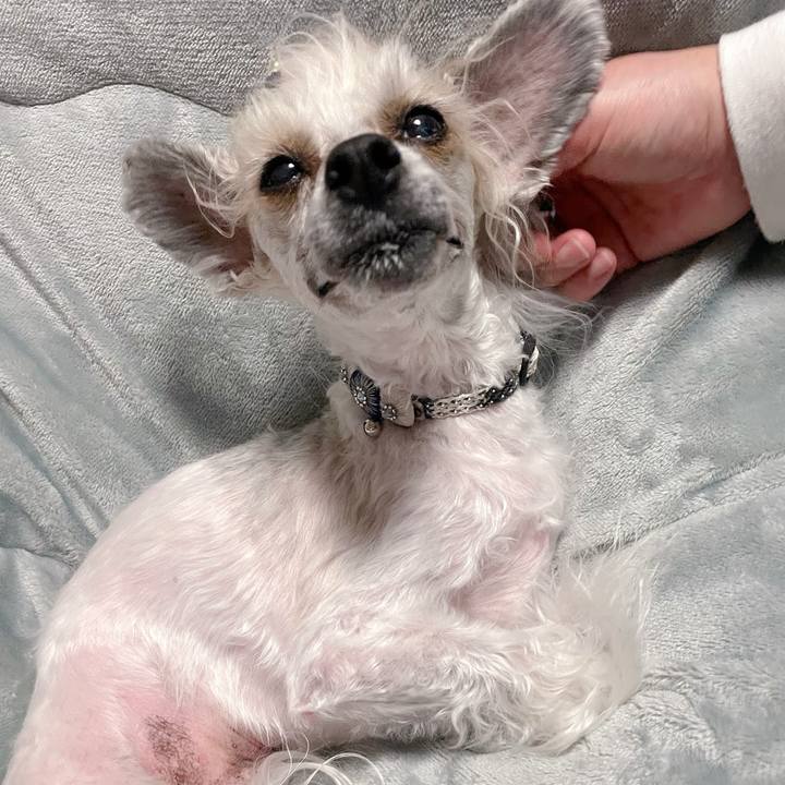 86ba15d2 382a 4d78 83d4 64953c62f955 1770196350032