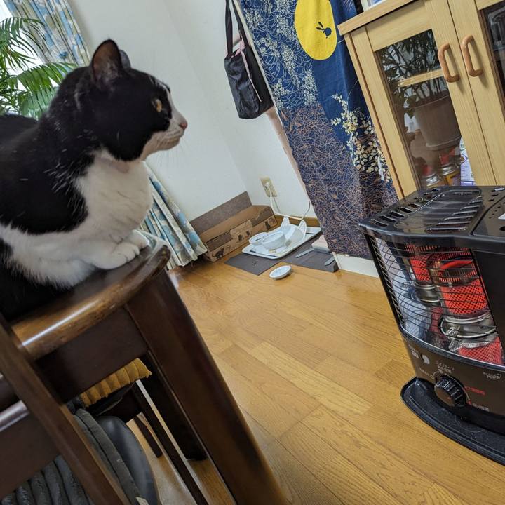 86ba3e75 6b13 4779 af16 b512e70dcc57 1700890109886