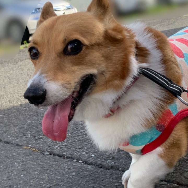 86ba9b1b 171a 42e6 9d93 580b4b92b056 1591828586357