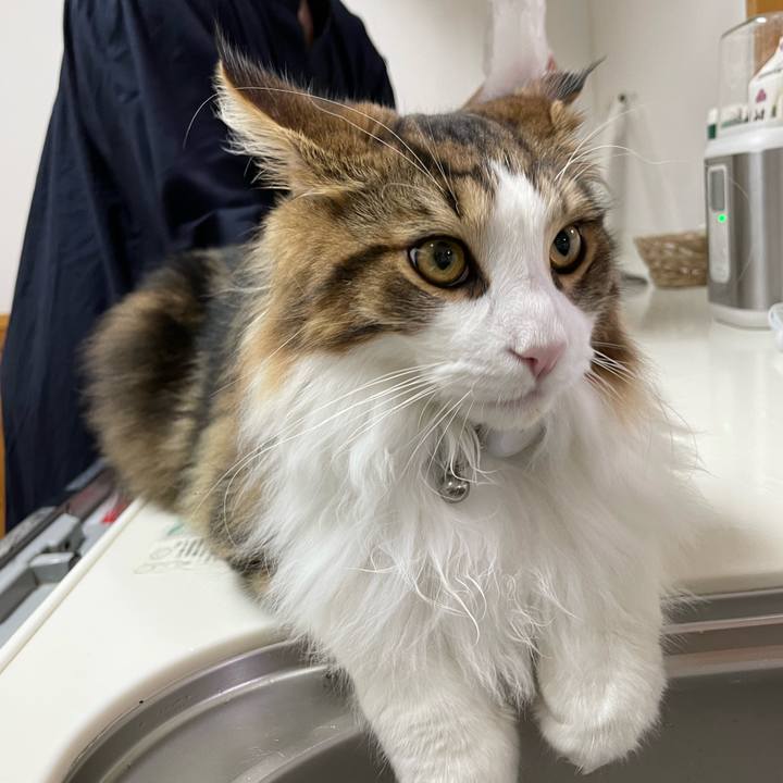 86baace7 a40d 4a7d 9517 ba5469fbece9 1641898501403