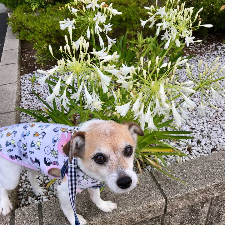 86bad470 d86e 474e 9e83 162173658494 1657235407617