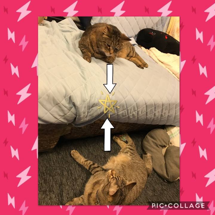 86bb0877 d954 4608 a738 b3bee23466e7 1528970345826