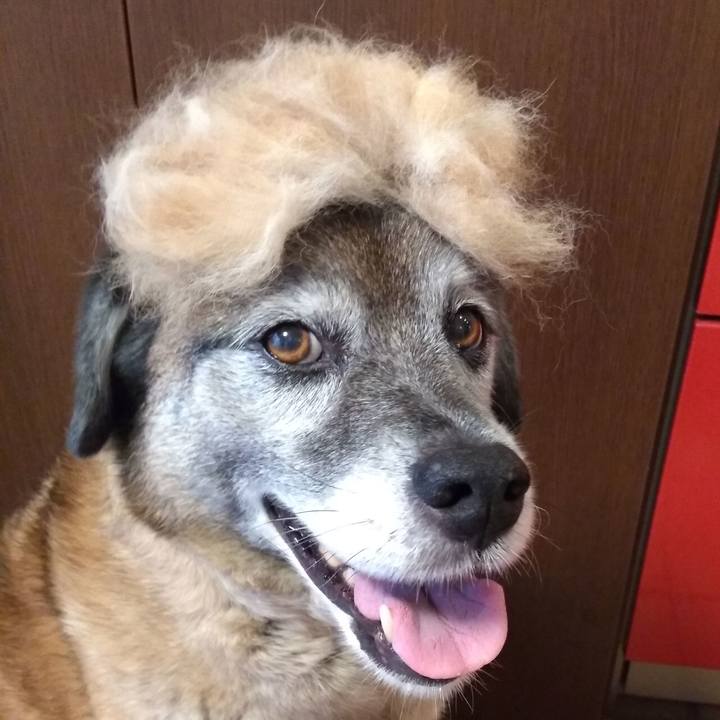 86bb4679 84c5 4eb2 84fb 3de0f0c3c1fe 1562141533268