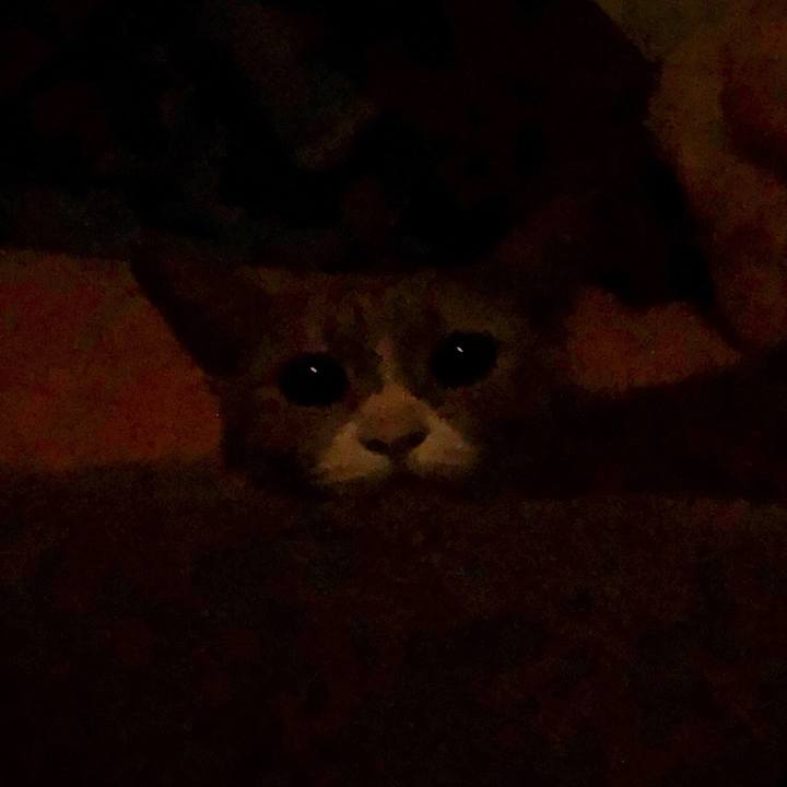 86bb527f 4b39 4d84 a3b6 b3d3a9ca78d9 1574993289714