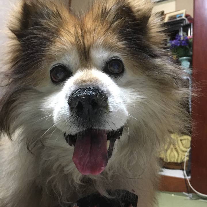 86bb65c8 5058 43b3 a634 895f61e6a728 1556147273937