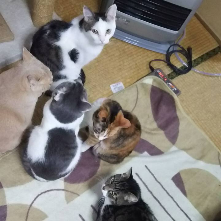 86bb8c1f c230 4fc9 8130 d708bdad7594 1515744441715