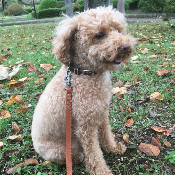 86bb987f 45e0 4368 a935 1144da7a4f29 1538976704524