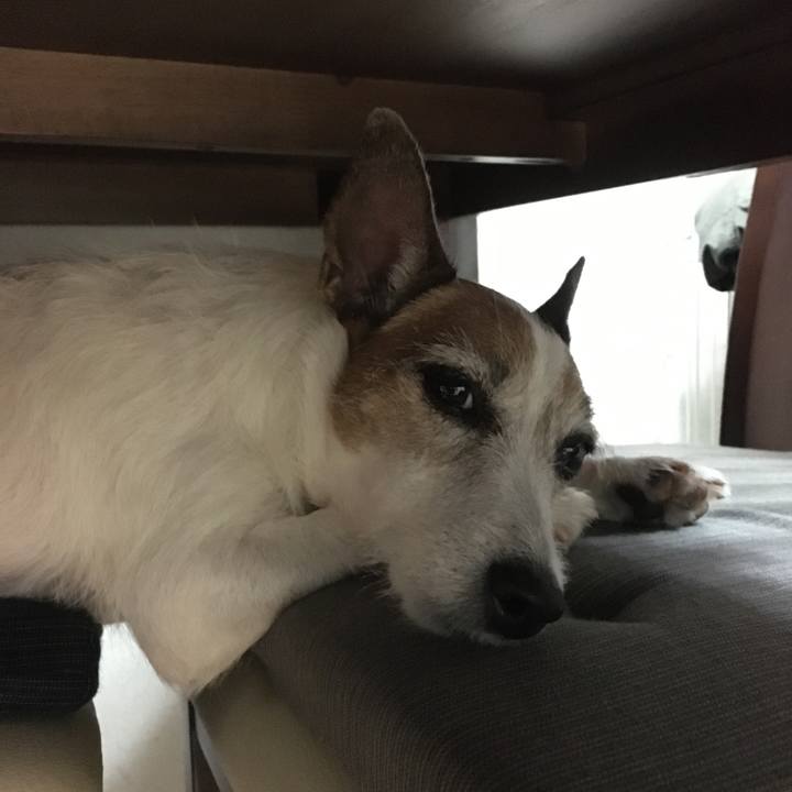 86bbbc98 2c4c 4161 83e6 43e76cd319a7 1633563614384