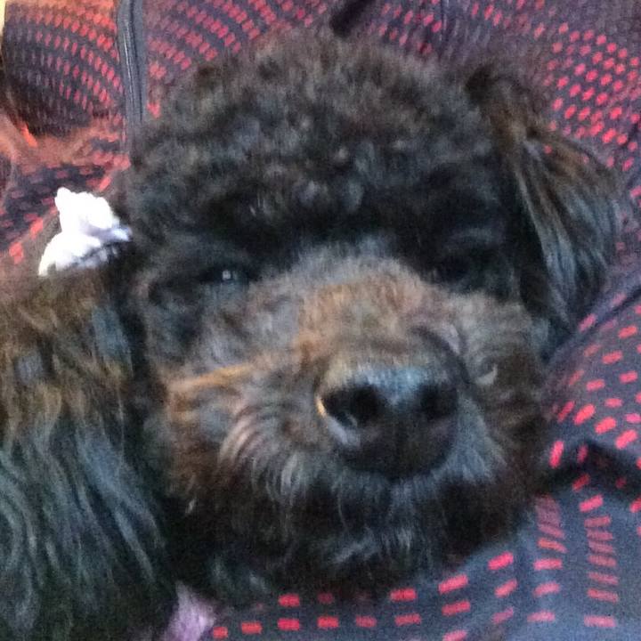 86bc4756 d3f4 4fcc 955c 0d5ad8a6727c 1524005601695