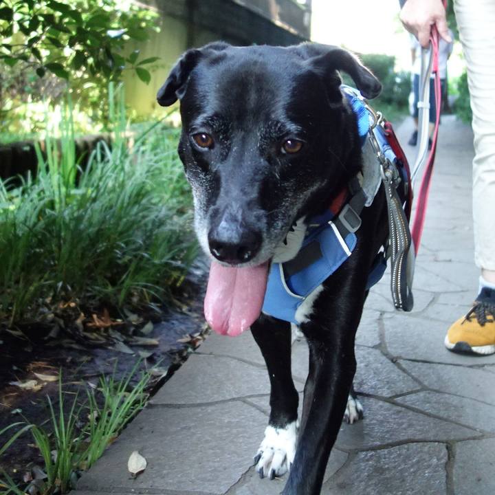 86bc9c9d 396f 4e04 ba4c 7921bd6a7968 1720139598960