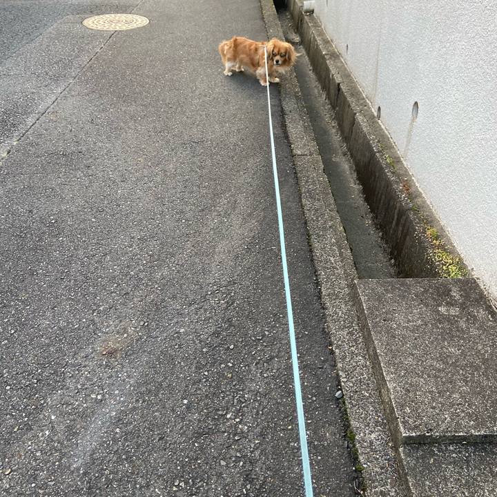 86bc9e77 ae91 468d 9790 5973e34f0eaa 1604527045935