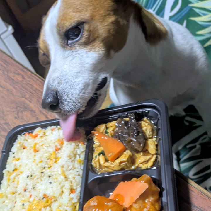 86bcc275 cc17 4e41 8c98 6f6d72f13440 1741514459896