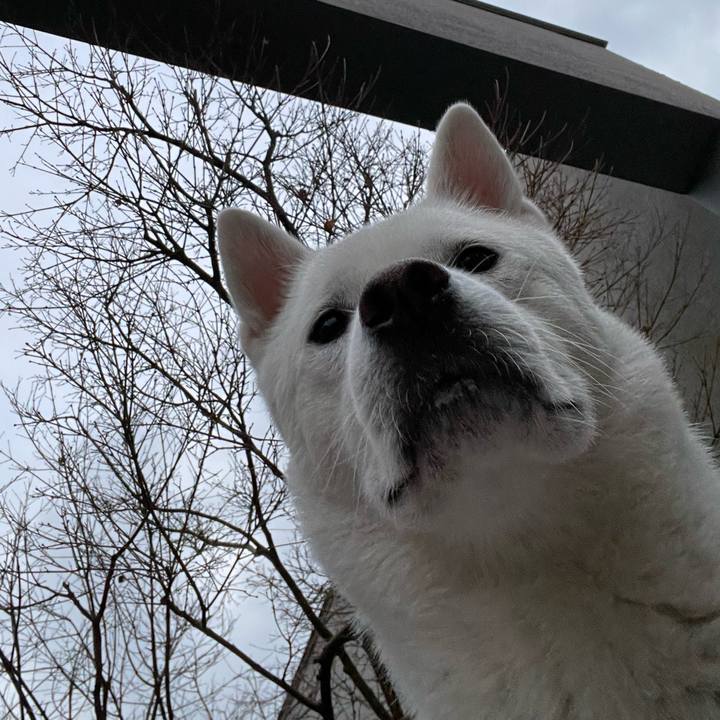 86bcc9d4 c01b 4af7 80e4 f1c3087273fe 1644490981760