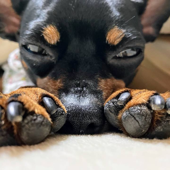 86bcd2f6 ea89 4720 aaf2 7c37beb556ee 1709385757157