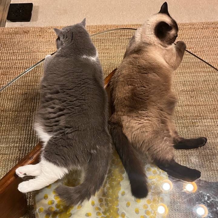 86bcd4b7 0a3c 484e adf4 6a9eb88a420b 1692596890315