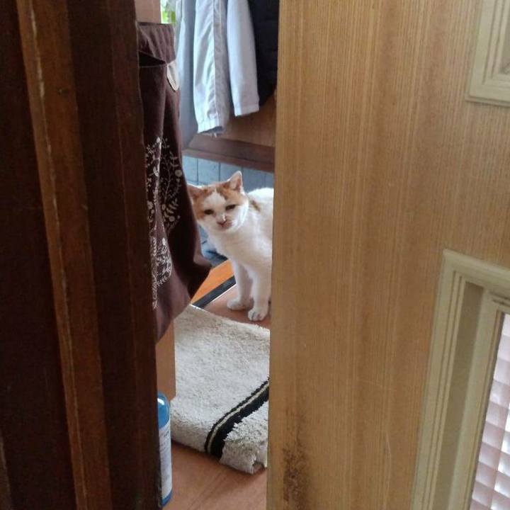 86bce28c 5fed 4e08 9c78 339fefda9236 1592963438129