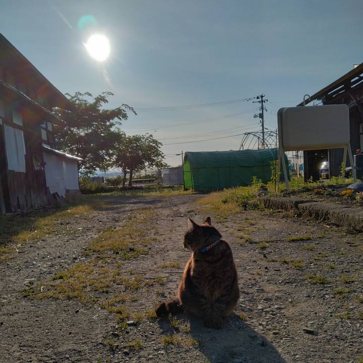 86bce7d9 f34f 4f4a a715 8a62f79e9a64 1685572799865