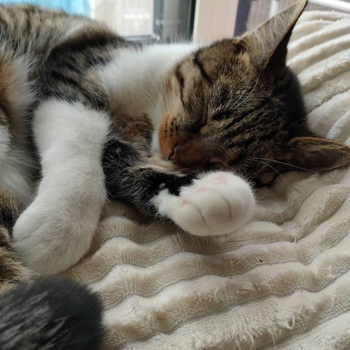 86bd3852 f3a7 4d5c 8ec3 a9c85d2ce4bd 1649825992590