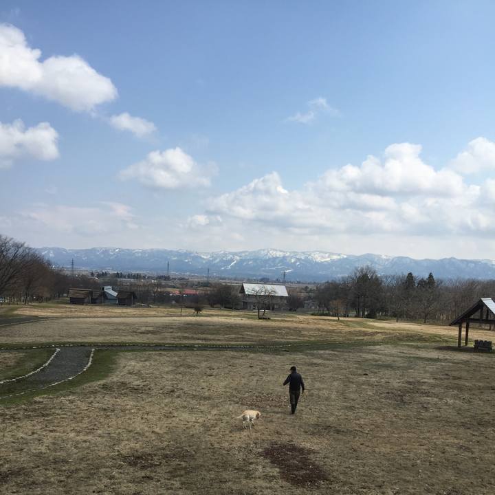 86bd6ad4 b39a 429c 8c9e effcbb766c8c 1581999875986