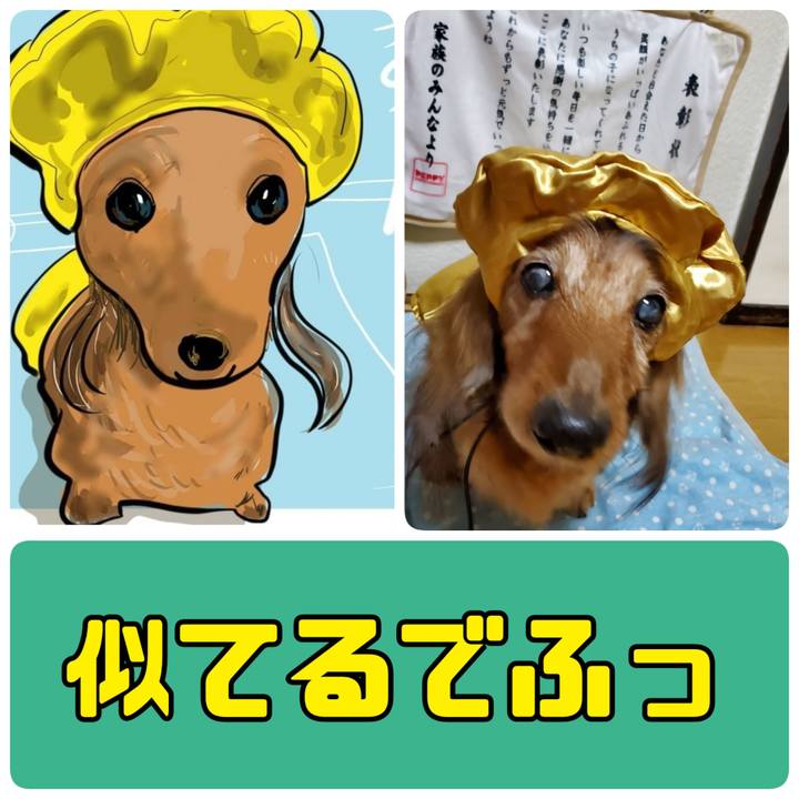 86bd780b 210f 4c5f 9a23 0a439e2fcf75 1701500477721