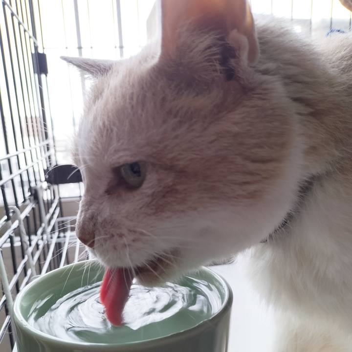 86bd9118 a653 4633 8154 ad62685c526f 1694643660135