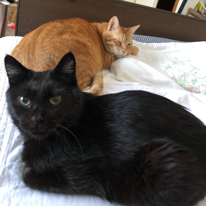 86bdab02 ed87 447e a028 594889b261f9 1575070980333