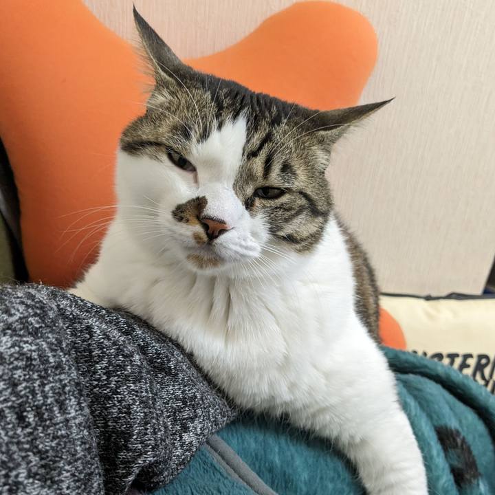 86bdd5f1 5d9a 4380 b8a2 dc13367cc01f 1710738508185