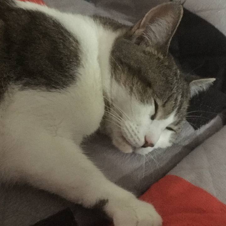 86bdd87d 66a5 4d48 9d38 c4e02d230b5c 1662317296355