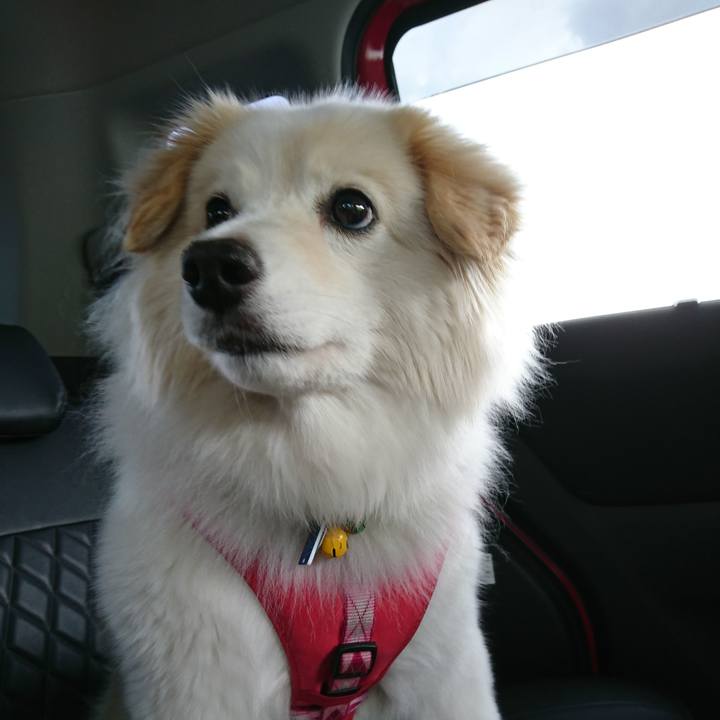 86bde1ea 01d5 4cf2 b6af dab4c9d2f43c 1530071176407