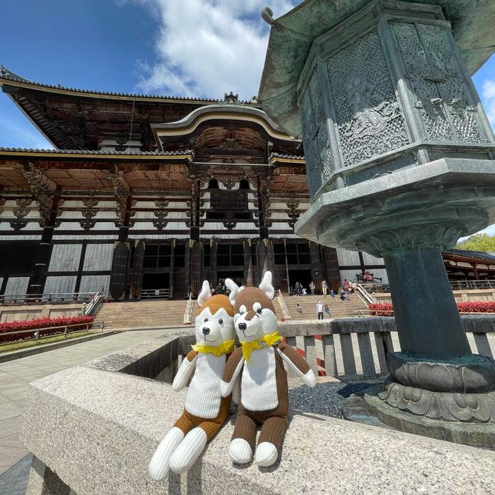 86bdf73c cfb7 4f51 ad9c 8cd4232c8f82 1650093200905