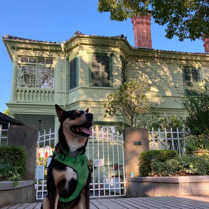 86be0343 e7c6 4c6e a11b 072ccacca57b 1592965287161