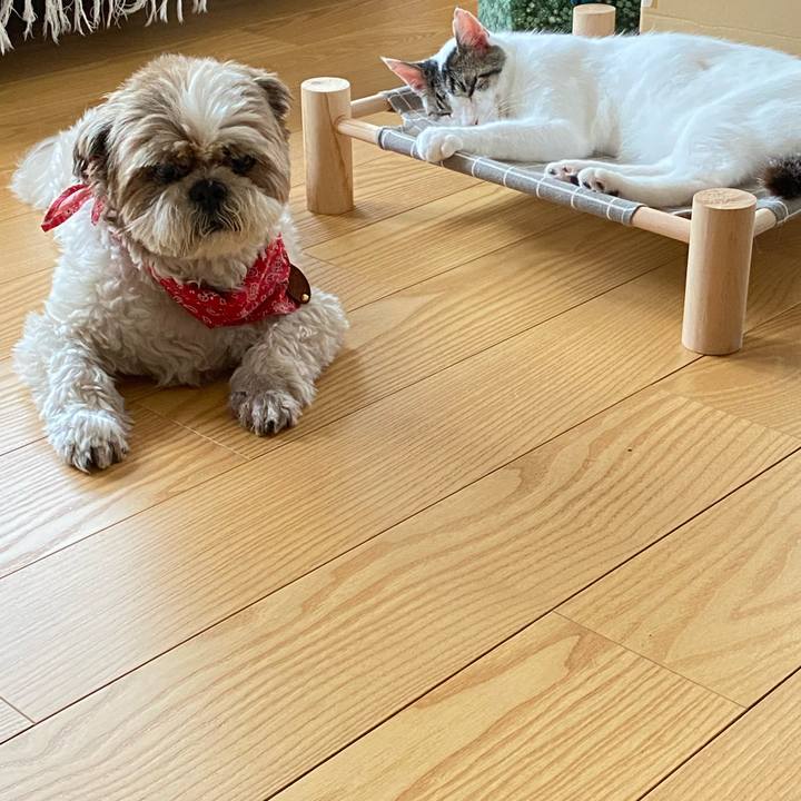 86be16f4 4d01 44a2 ab4e ea190a771df4 1658383944318