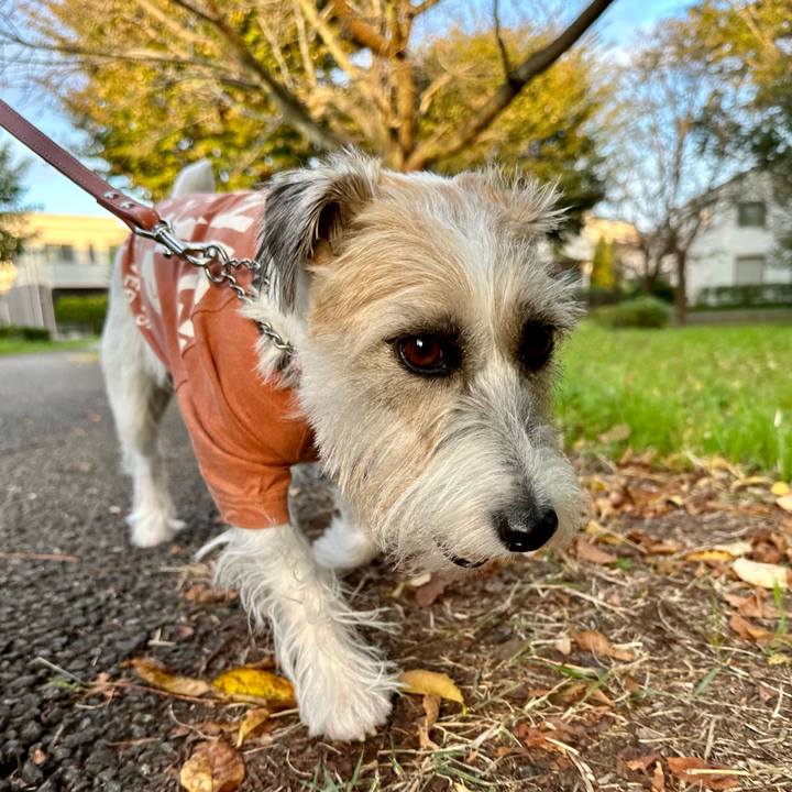 86bee7b1 2fba 47d4 a736 d09d81e46bce 1698528349873