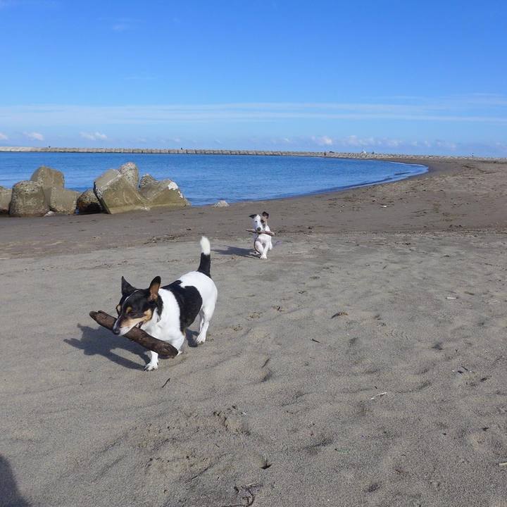 86bf0462 790c 4a71 a0ed bb371135b445 1601558922504