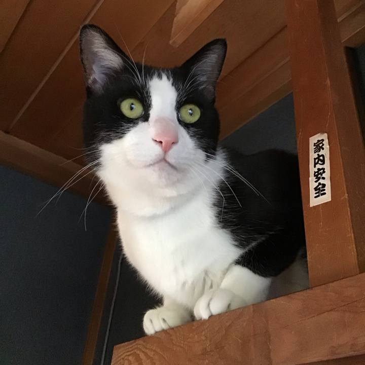 86bf6b81 2bf6 4822 a616 6becb6eac4b6 1711967655579