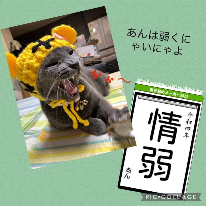 86bf7198 8184 4364 bd46 174a6efa0634 1641199134382