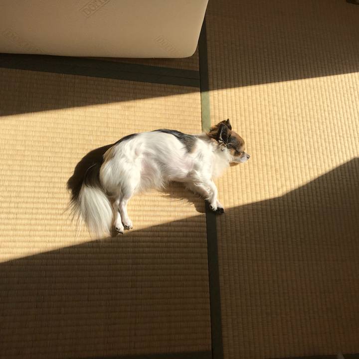 86bf80d6 6d0b 49e5 b733 34ecb4794268 1509678163043