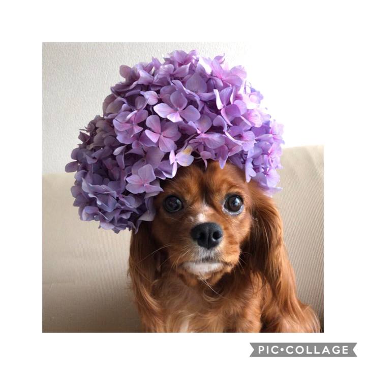 86bf95fd 257e 4808 91aa 078bbdb0e012 1571231523073