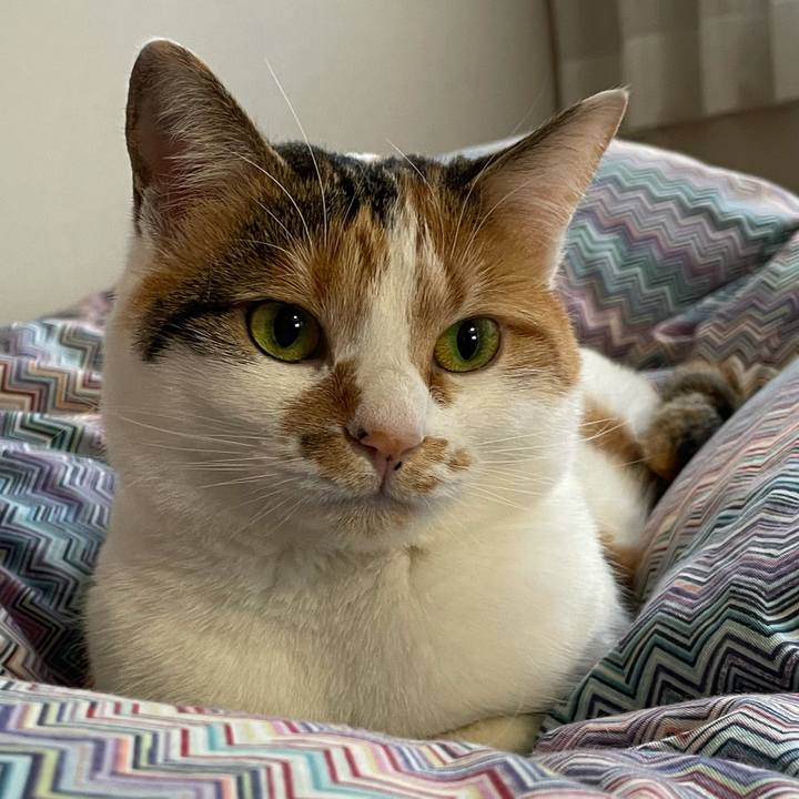 86c02971 e207 49b6 808e 073fc72f8f24 1611274711788