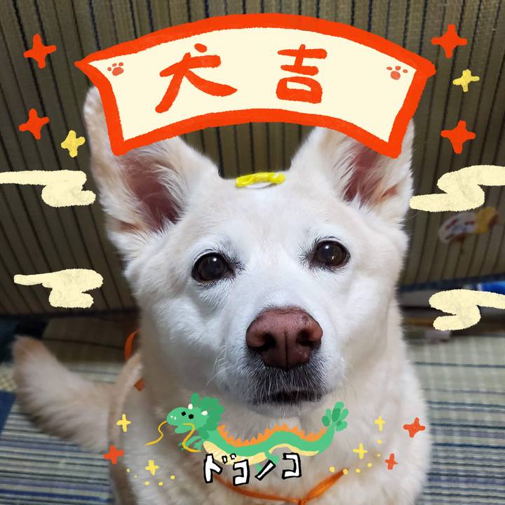 86c04b01 beed 4407 aba8 4c821d22bea9 1704130196679