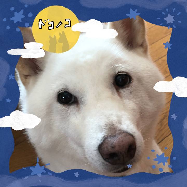 86c08589 07cc 4f19 a693 67a135586e49 1727260307296