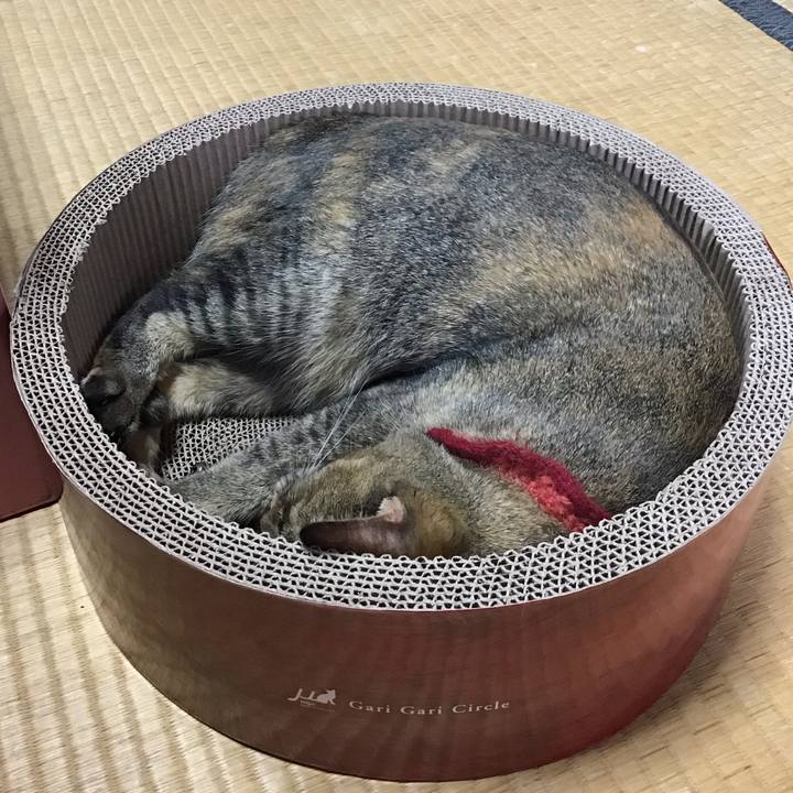 86c08e17 8474 4d45 9916 1ba0e20085c9 1599453043406