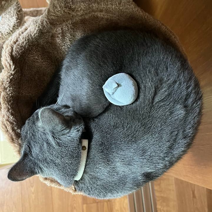 86c0958c 68db 4940 833e 1b8264dc8d77 1684468909213