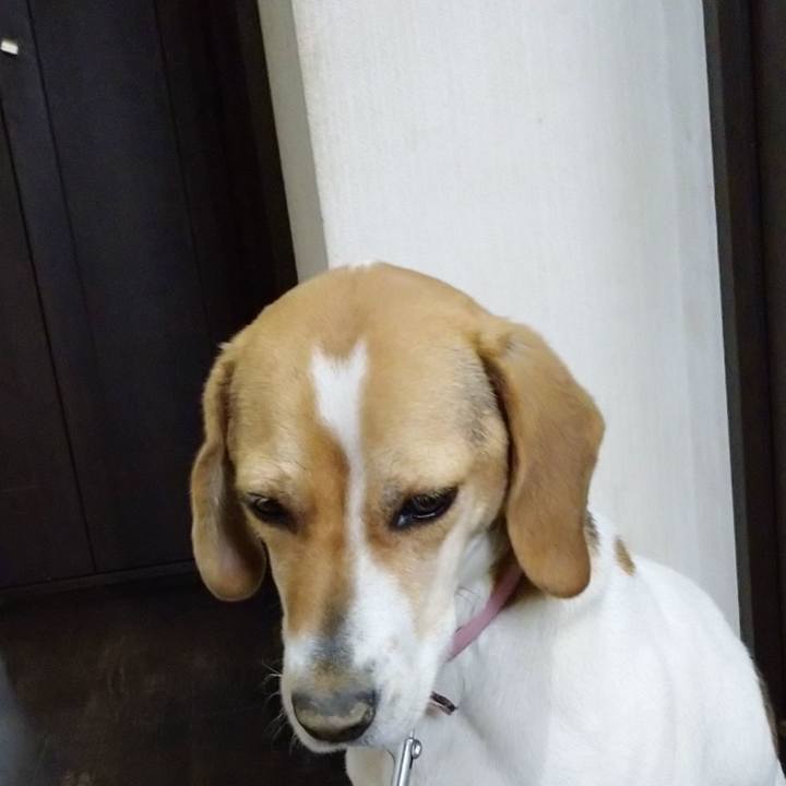 86c0e8ac 2c04 4670 85d8 c094a5fcbaa1 1586518420965