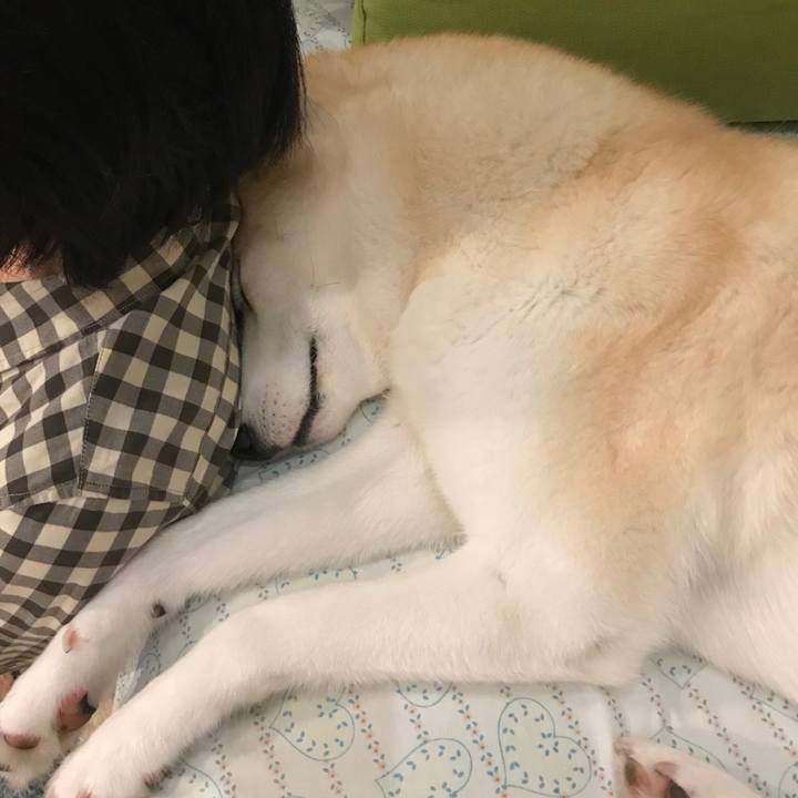 86c102f7 9182 4ae0 9ca1 9b4d1dee1cf6 1538303265386