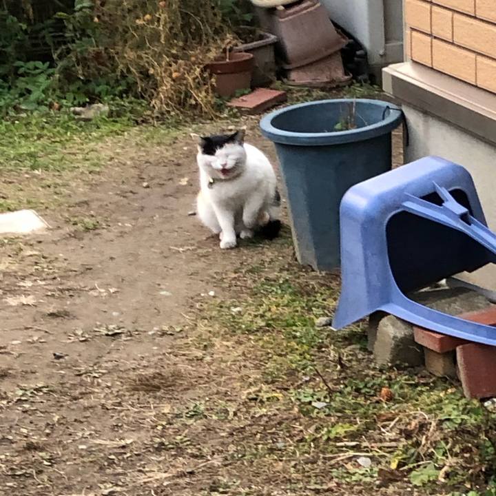 86c10ddb e9ad 47fc b2fc af4198f221c6 1610838095708