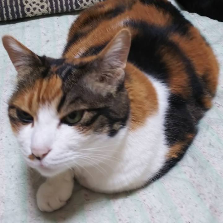 86c10fde 8f01 44d7 8ccd 267b22b18d31 1561498350317